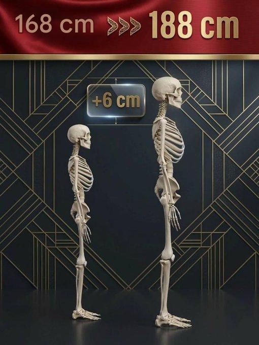 Lore Cárdenas. tweet media