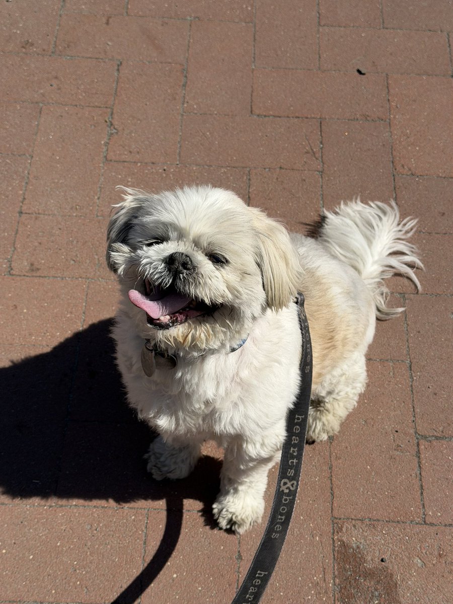 Dan Gutter tweet media