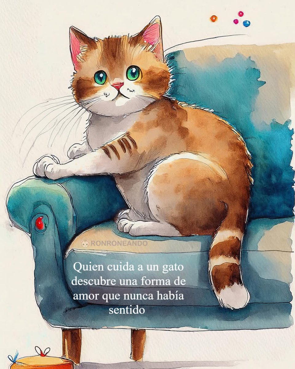 Manu Saenz💛💛 tweet media