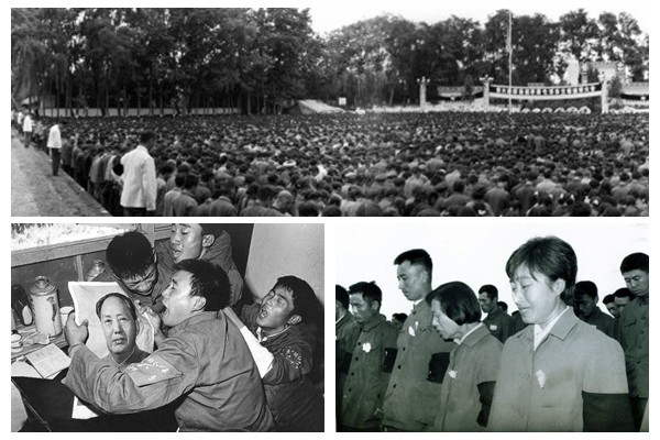 紫水晶Amethyst tweet media