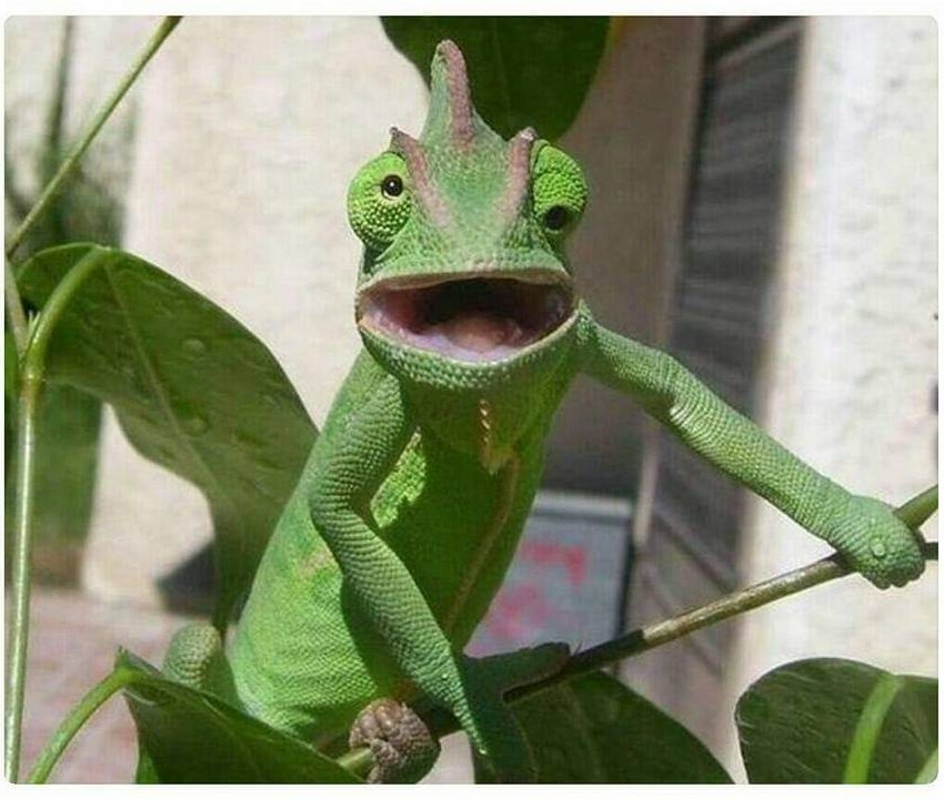 𝐁𝐚𝐫 𝐃𝐞 𝐏𝐮𝐞𝐛𝐥𝐨 tweet media