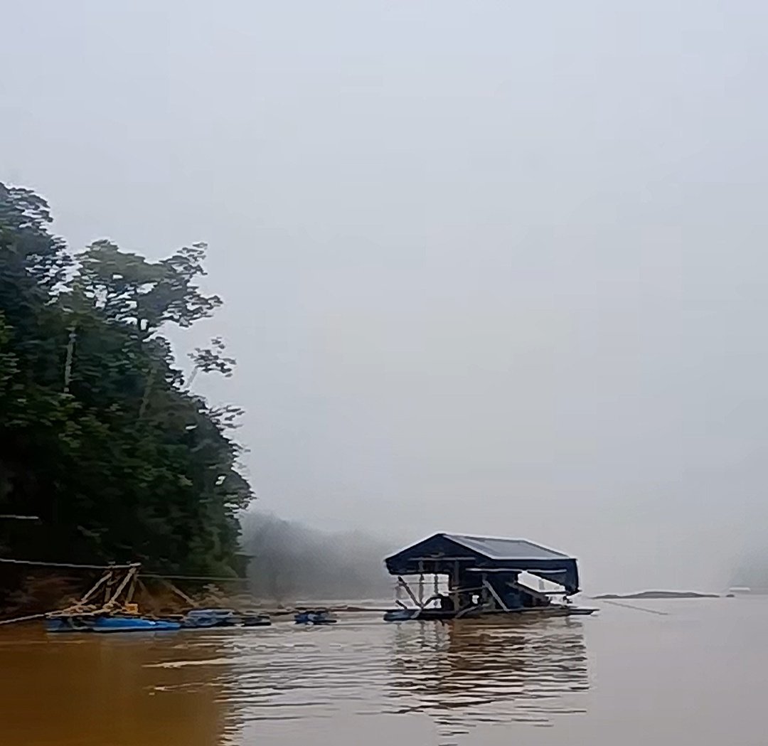#Atencion #Venezuela 

Continúa el despreocupado accionar de balsas mineras ilegales en la cuenca del río Caroní, sector 3 #GranSabana específicamente, por la comunidad indígena Aripichi 

La indiferencia gubernamental y militar persiste en el tiempo... 

#SurDelOrinoco