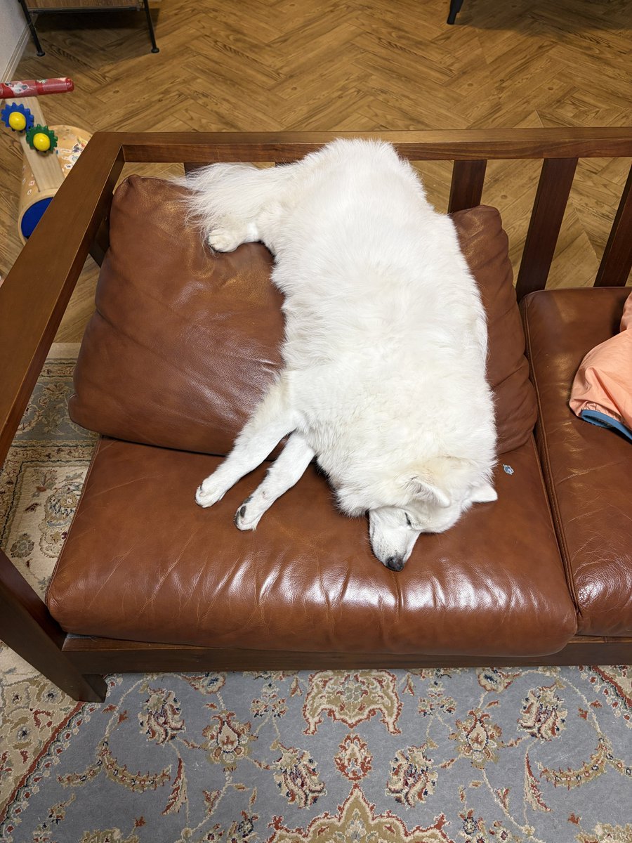 D-YAMA / ちょろやま tweet media