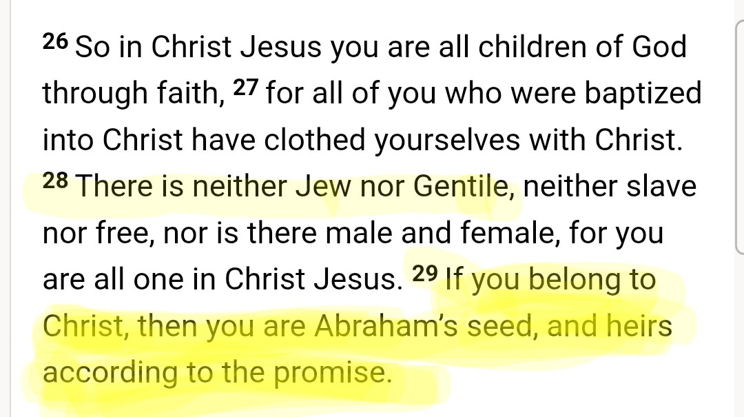 Cody Dutcher tweet media