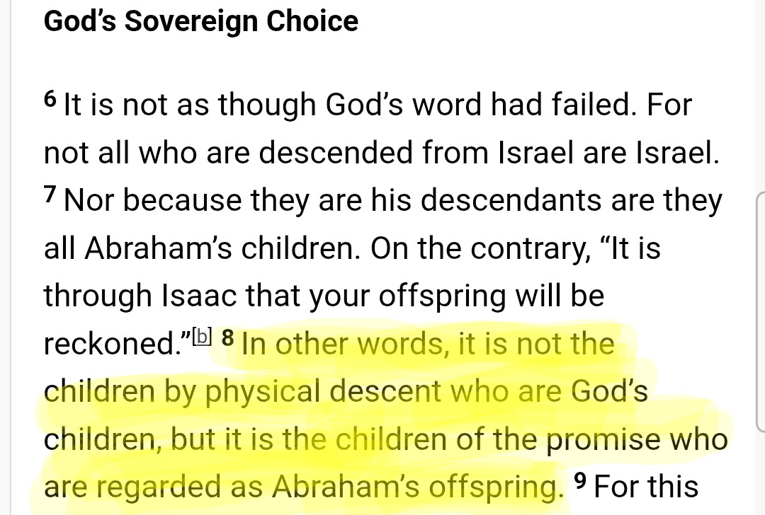 Cody Dutcher tweet media