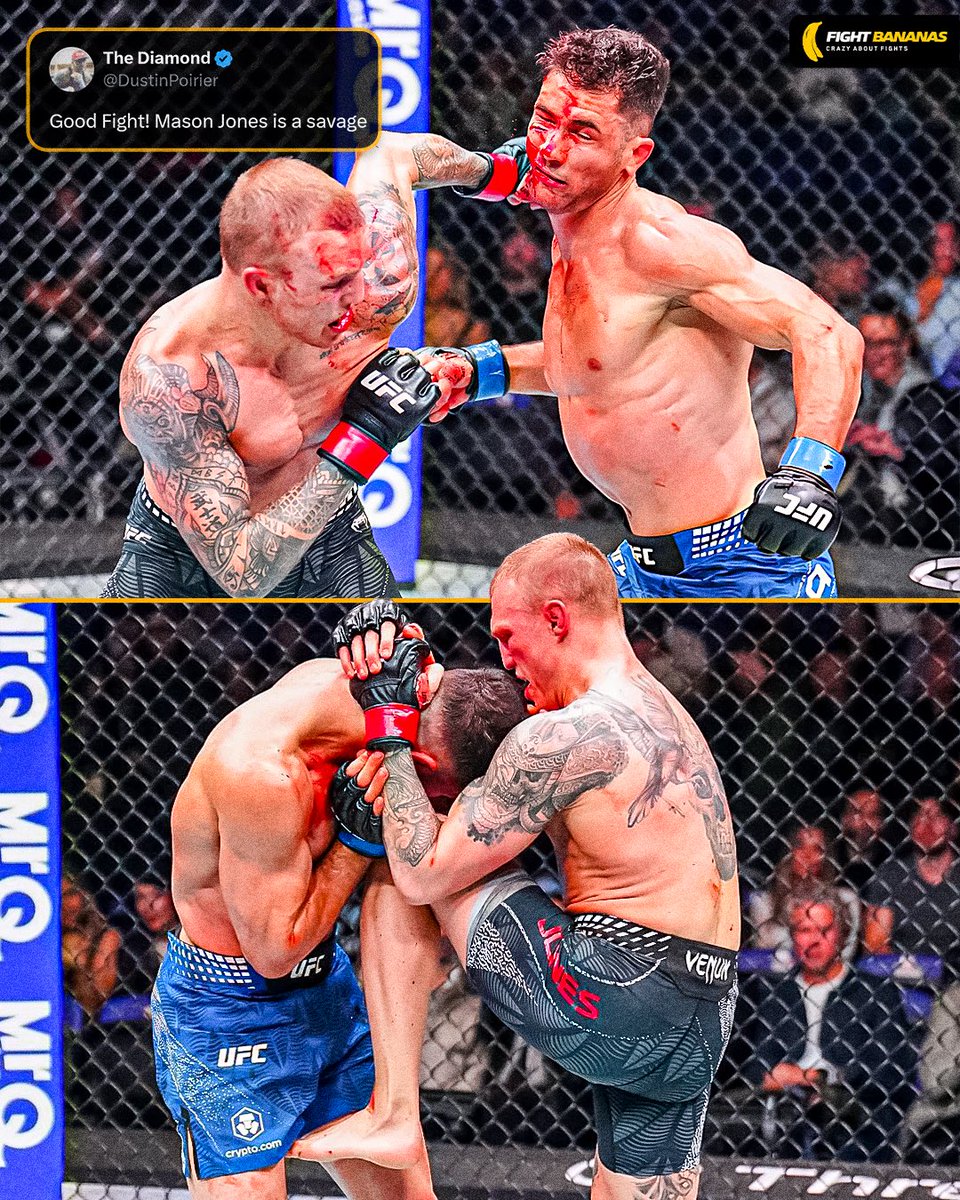 Fight Bananas tweet media