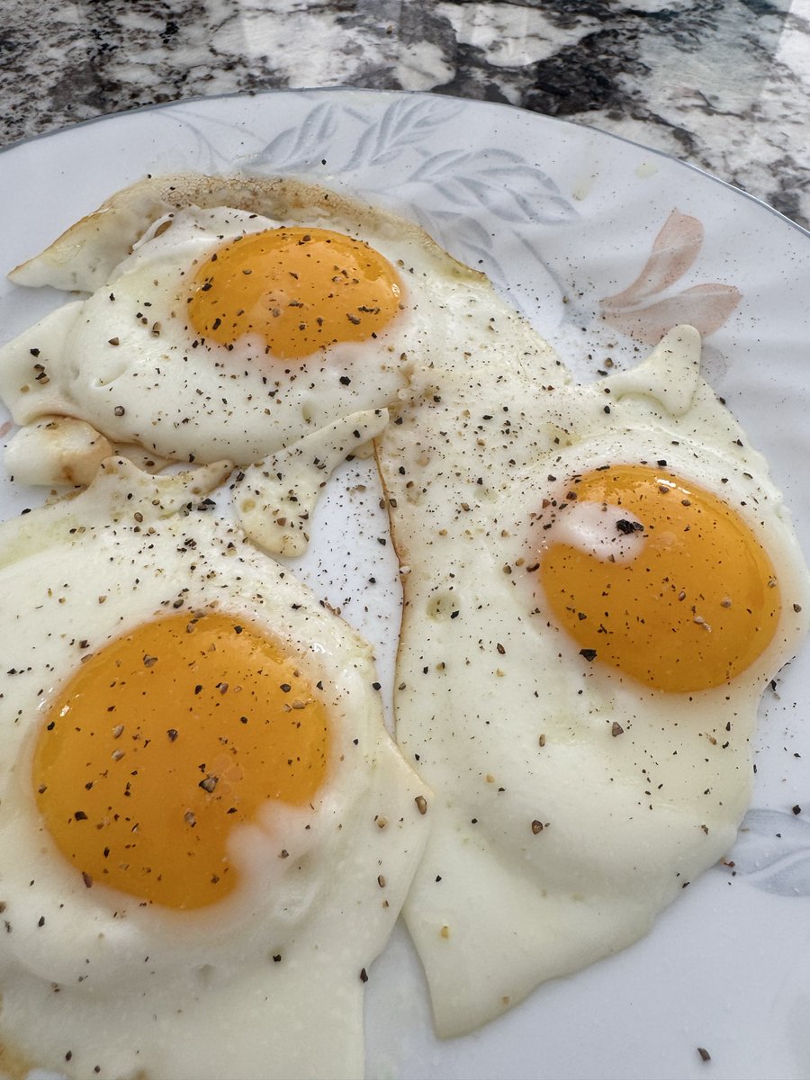 Ashley Schendel tweet media