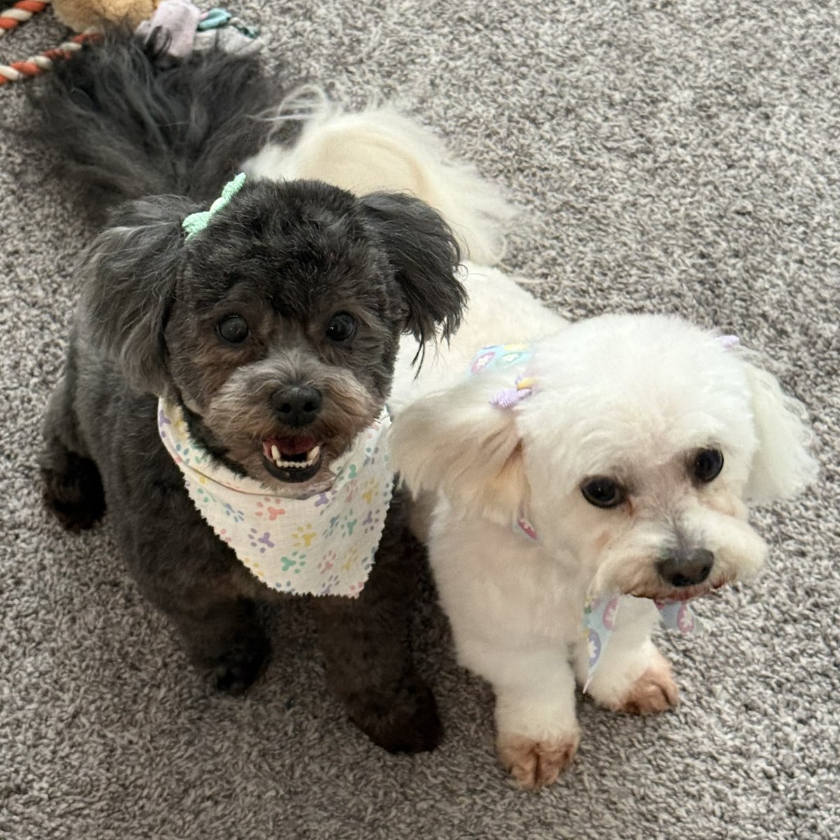 Knovis 😈🍻 tweet media