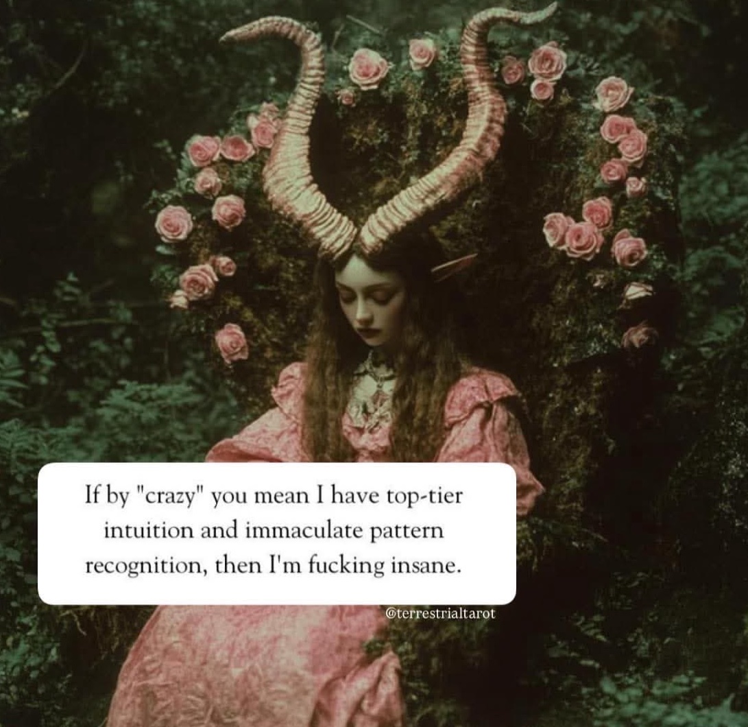 🏹 ѕтєρн 𖦹 venus mind trap જ⁀➴ tweet media