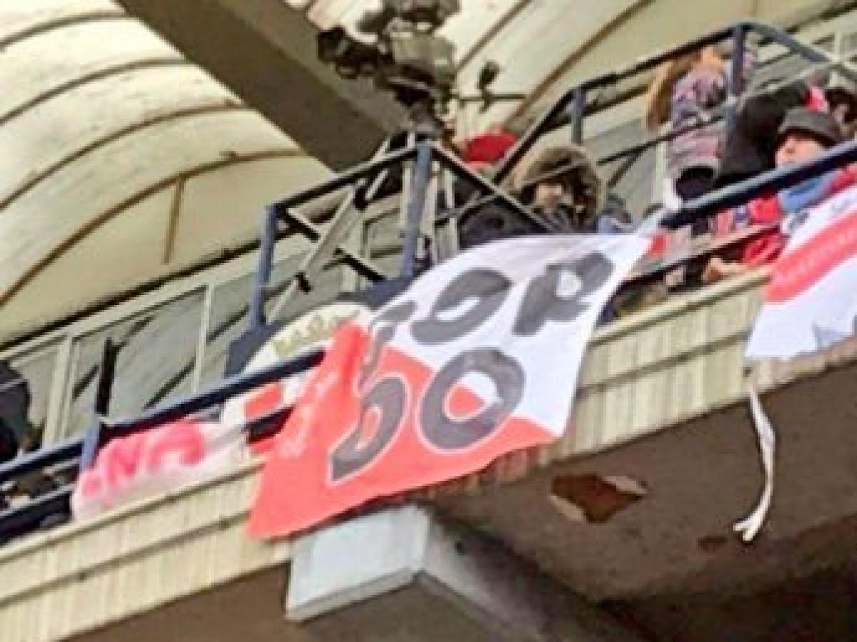 ranavara 🐸 22% tweet media