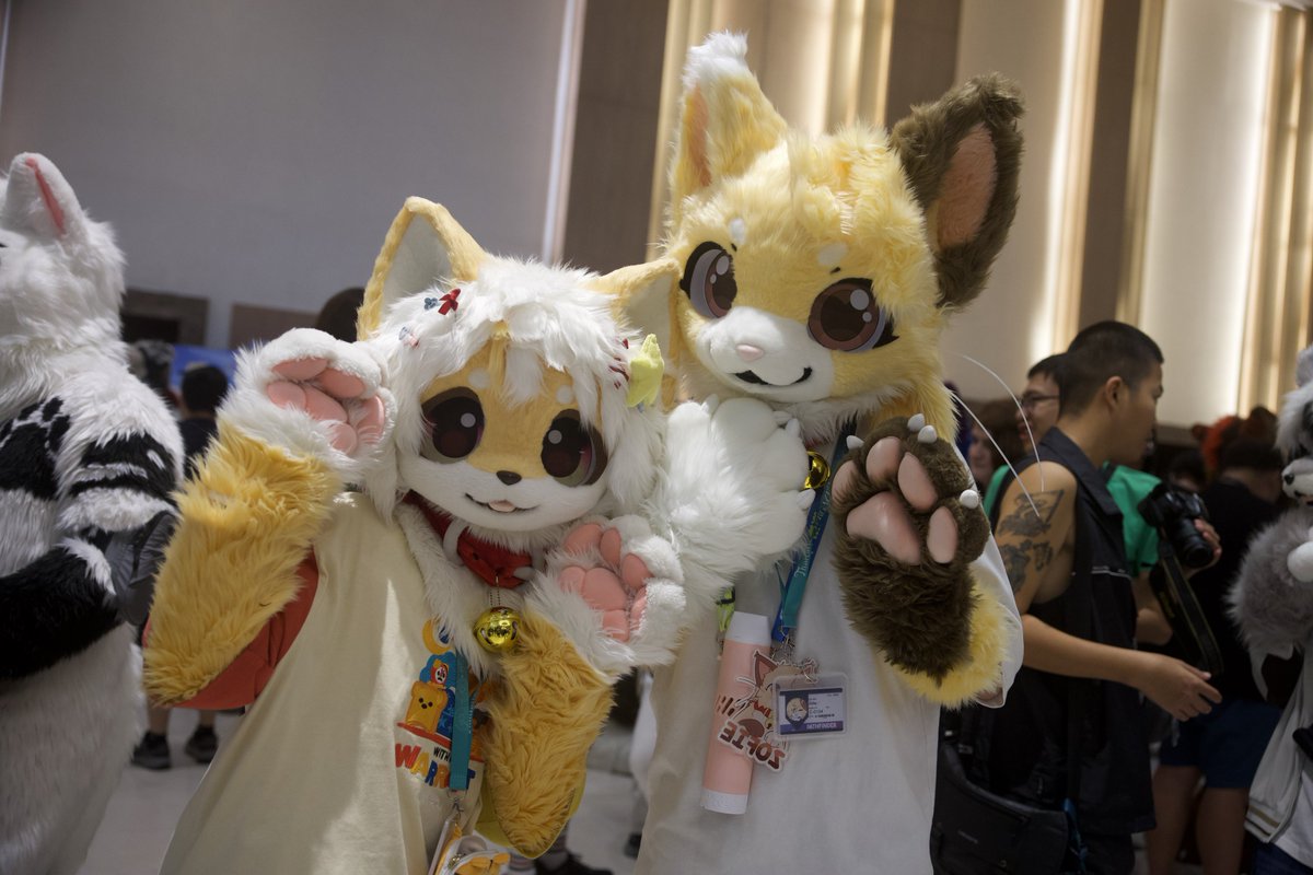 Zofie 🔜 Thaitails 2026 tweet media