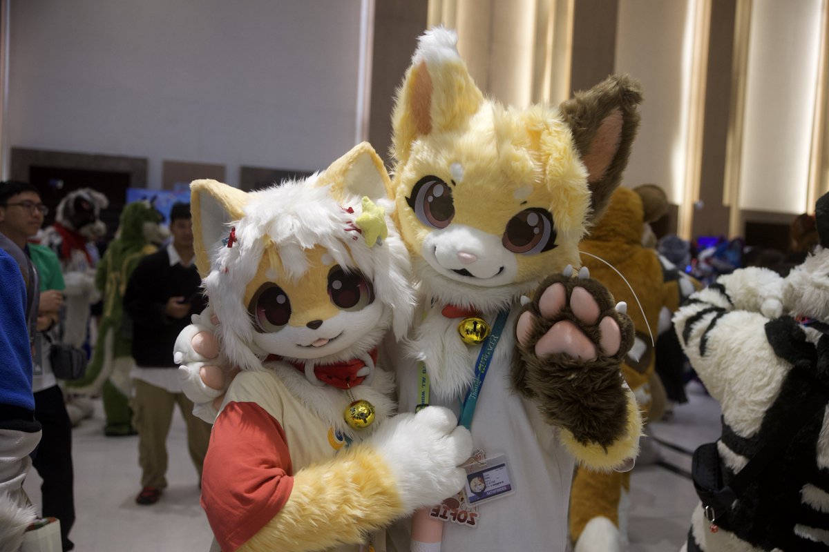 Zofie 🔜 Thaitails 2026 tweet media