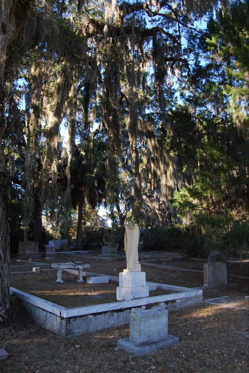 StrangersMindz tweet media