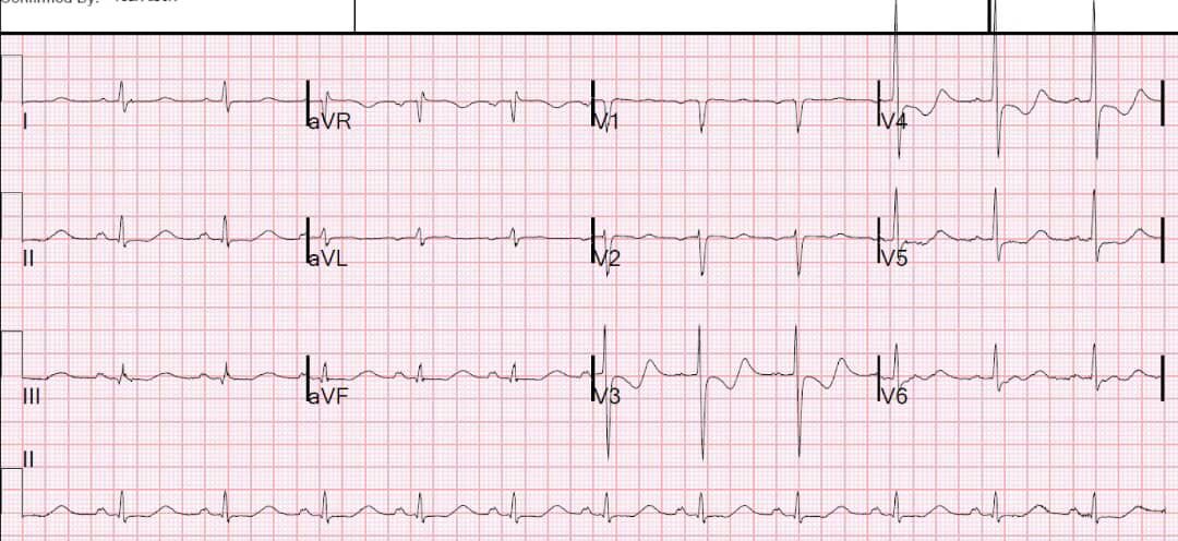 Dr Ihab Suliman tweet media