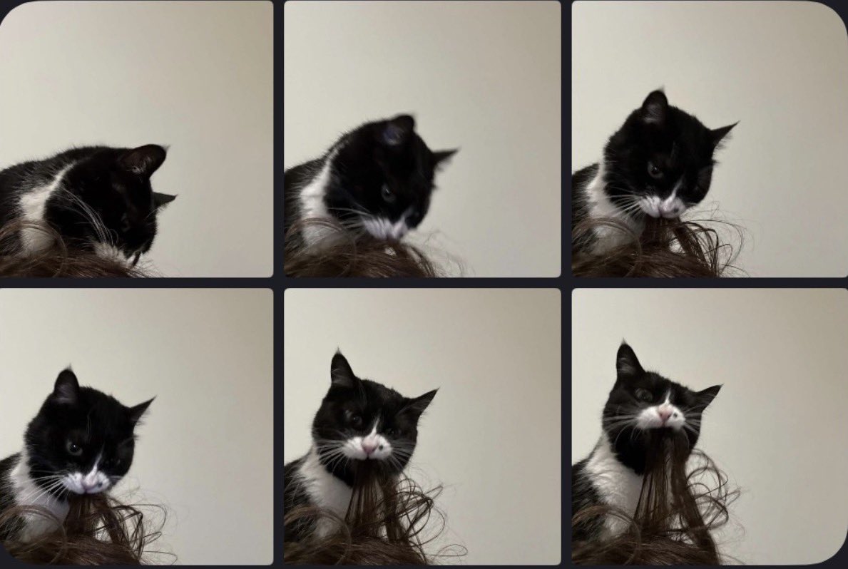 ruru ^_~☆ tweet media