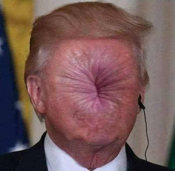 Its rider’s name was Death... tweet media