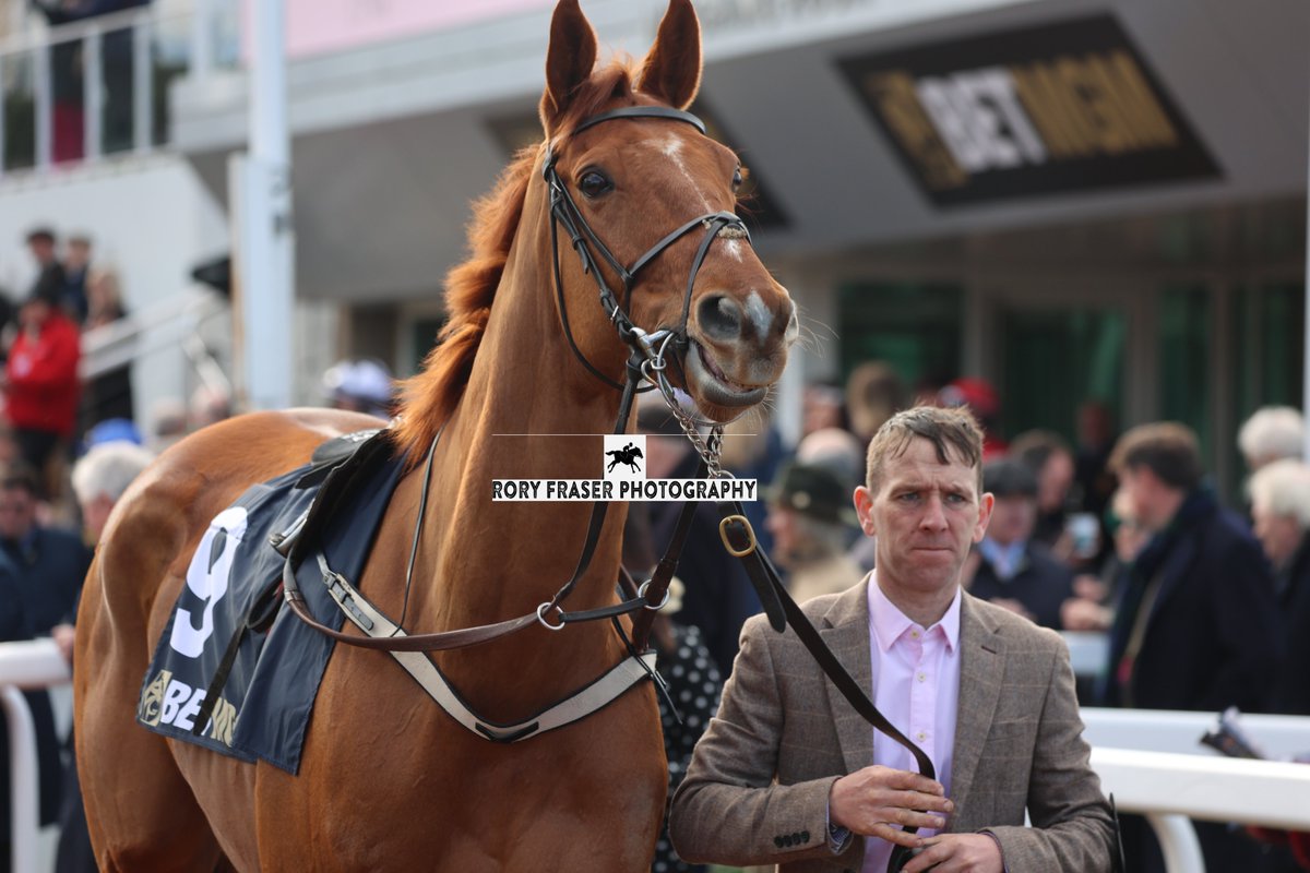 Rory Fraser Photography🤘 tweet media