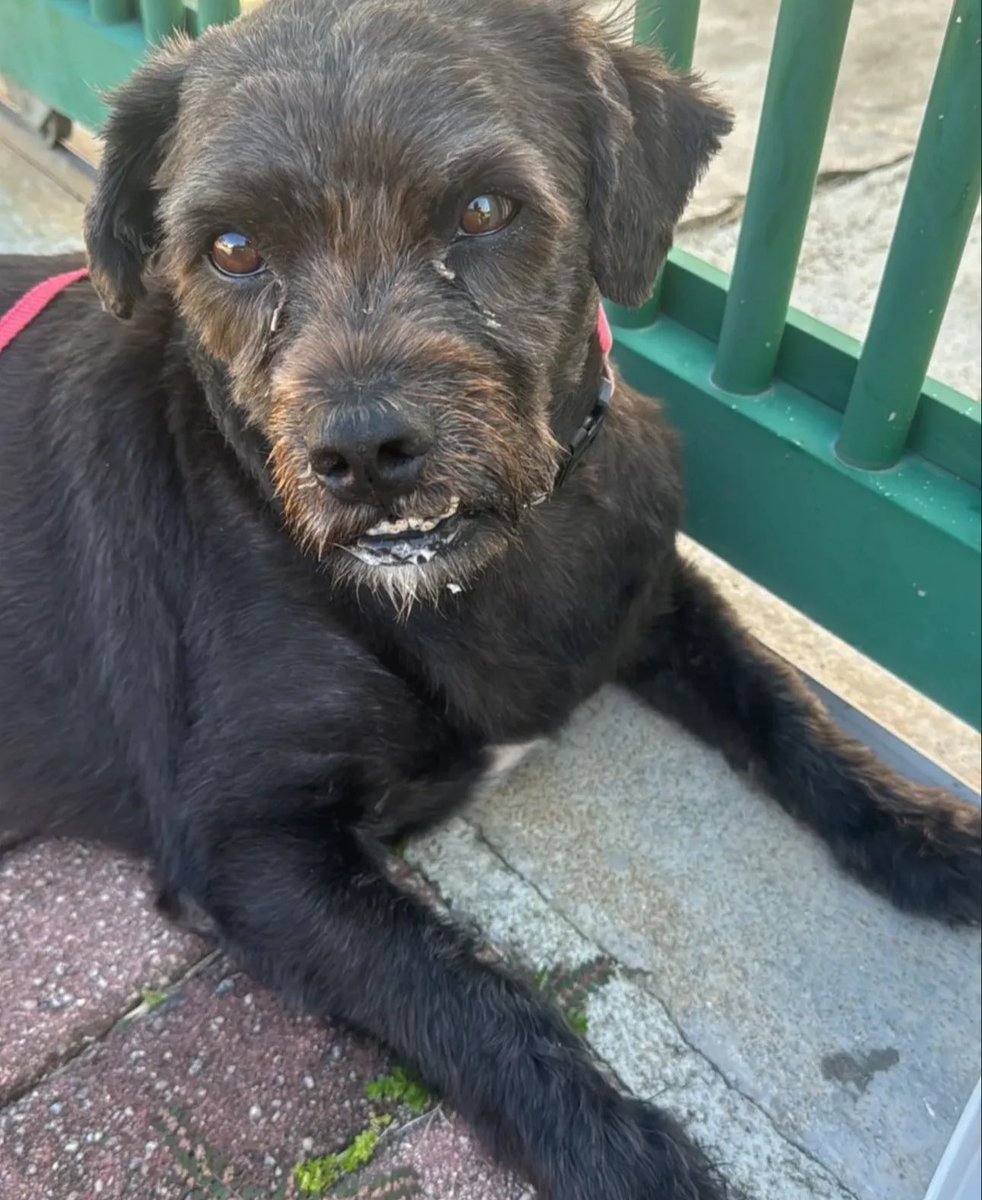 kaarolzx tweet media