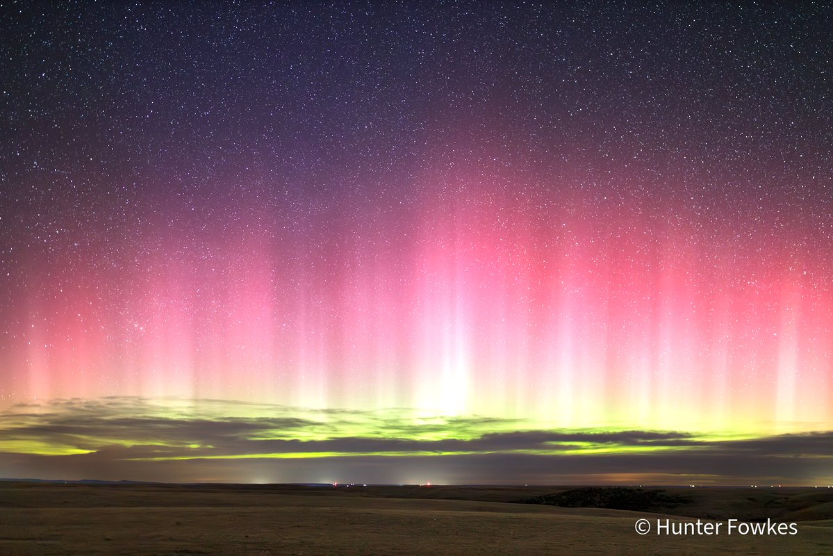 Hunte☈ Fowkes tweet media