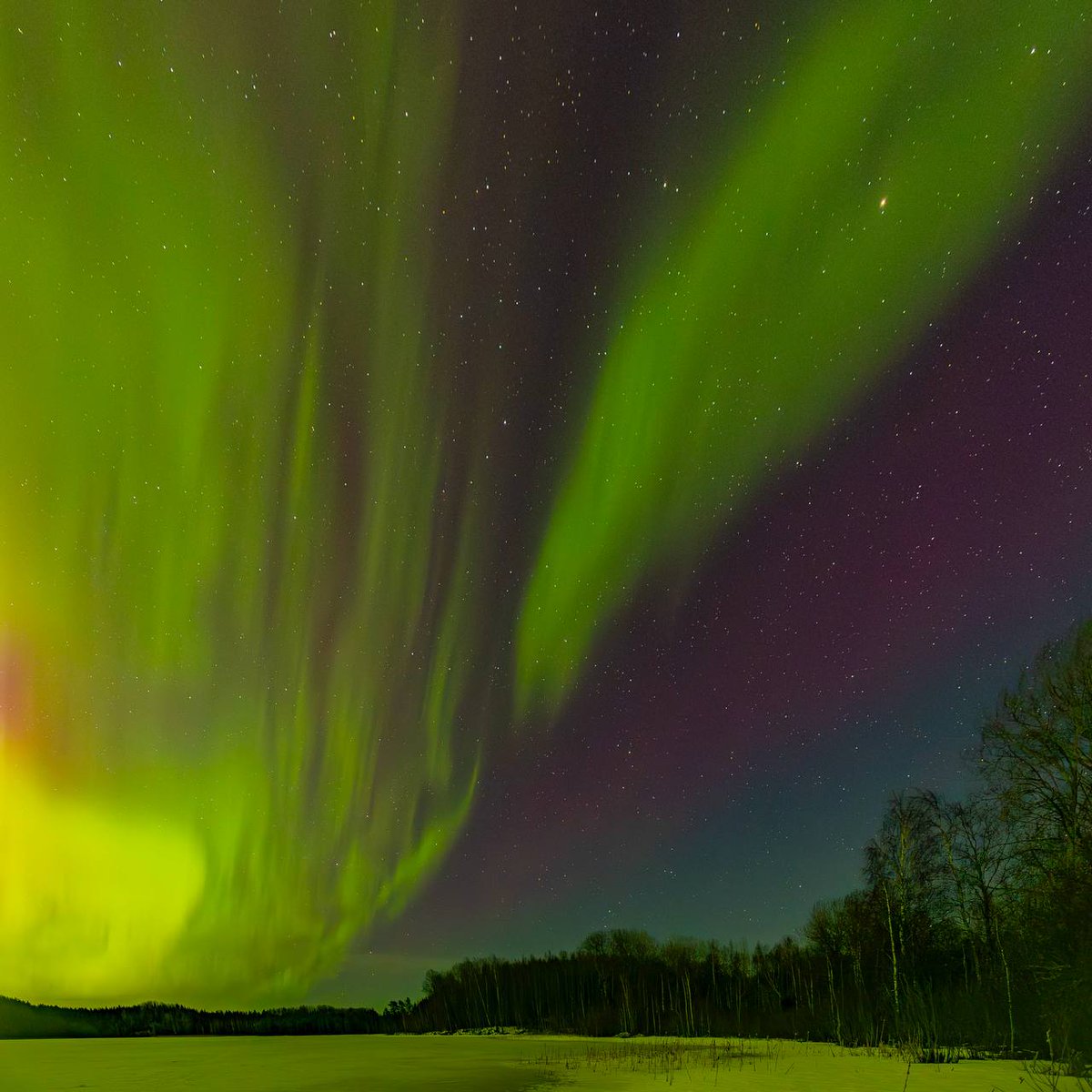 Лентач tweet media