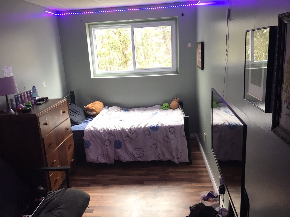 demp ΔΘ 🐾 tweet media