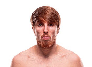 Elonov 🇦🇺 tweet media