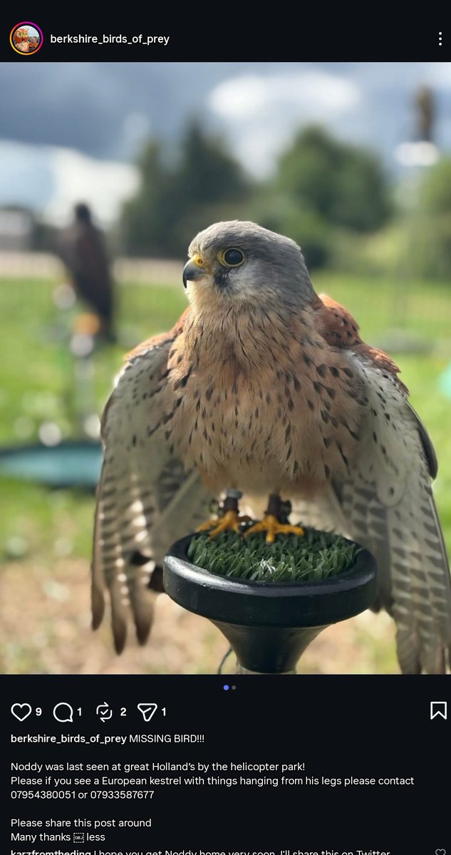 Karz From The 'Ding 💙🤍💙 tweet media