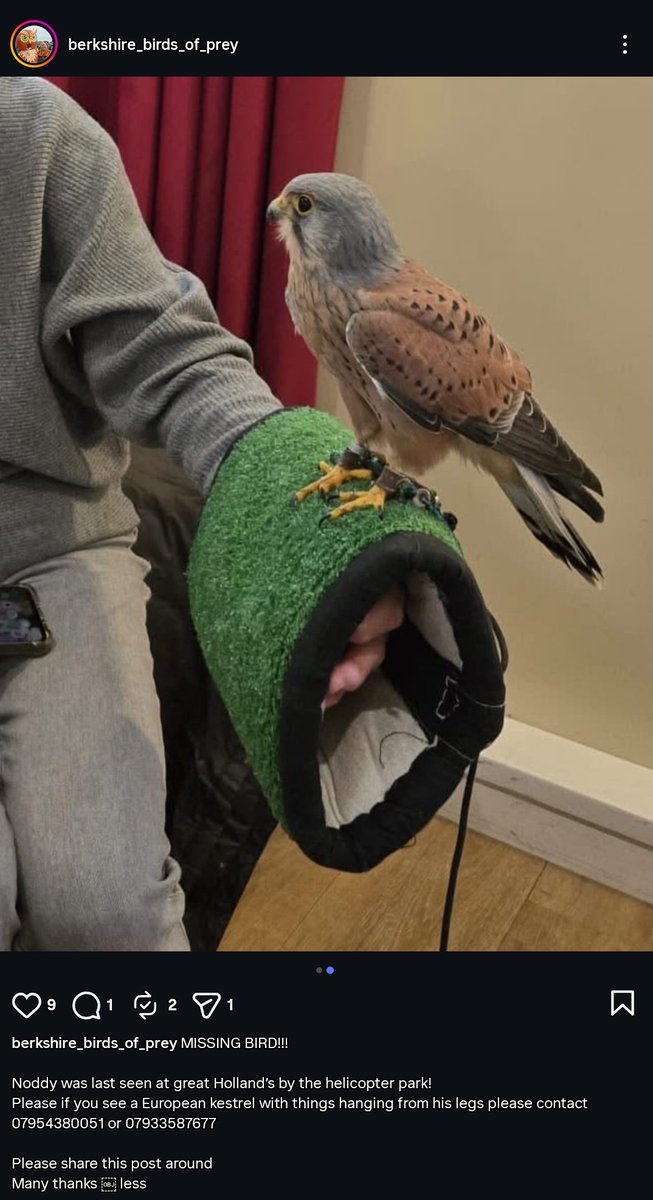 Karz From The 'Ding 💙🤍💙 tweet media