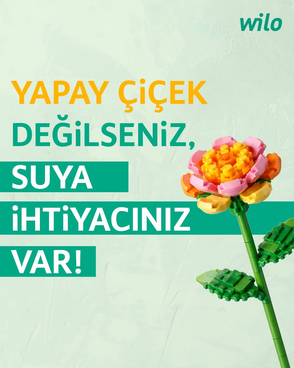 WiloTurkey tweet media