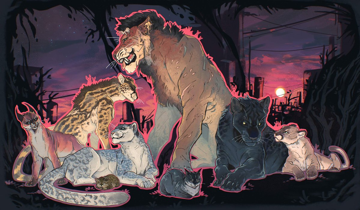 NotYourCat tweet media