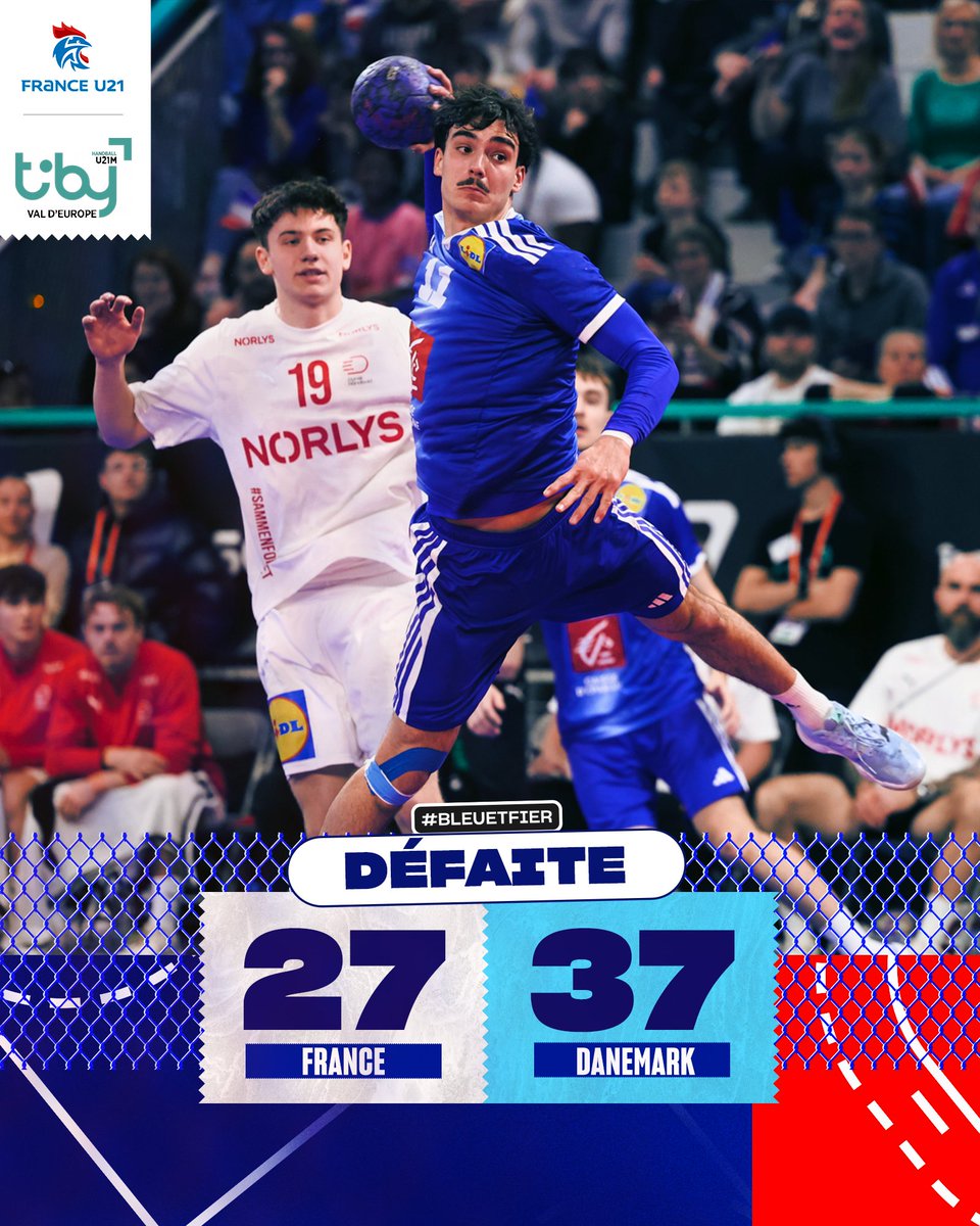 FFHandball tweet media