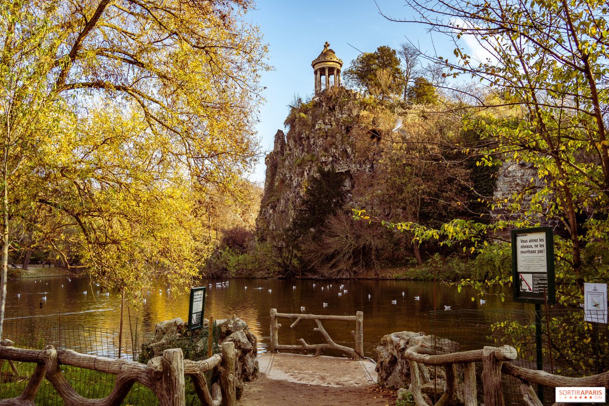 Themountainking tweet media