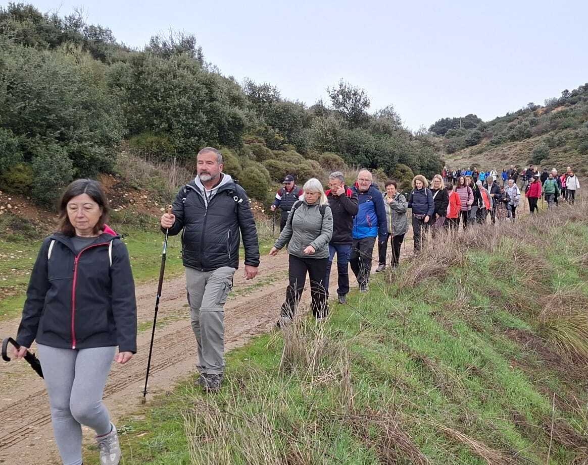 GuadalajaraDiario tweet media