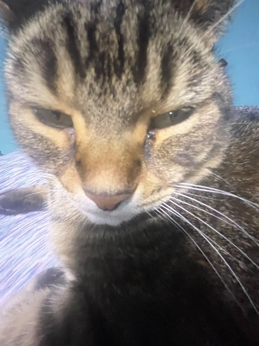 morgan 🫐 tweet media