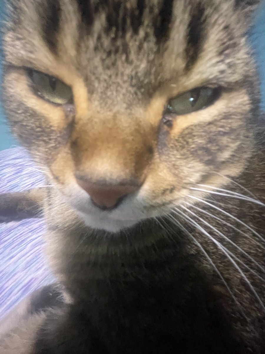 morgan 🫐 tweet media