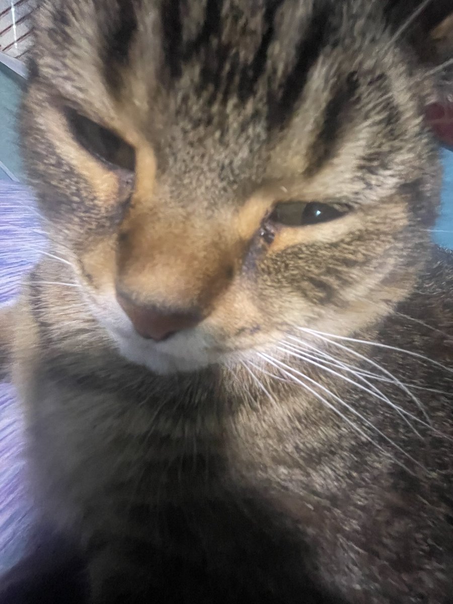 morgan 🫐 tweet media