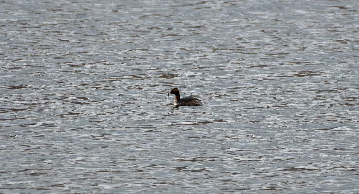 Dave Edwards jft97 🇺🇦 💙⭐⭐⭐⭐⭐⭐ 🇪🇺 tweet media