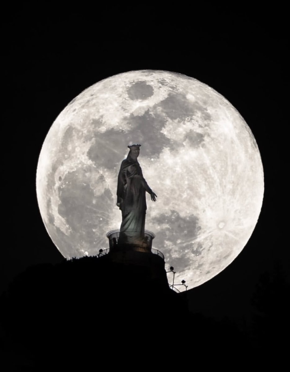 Joy 💞 tweet media