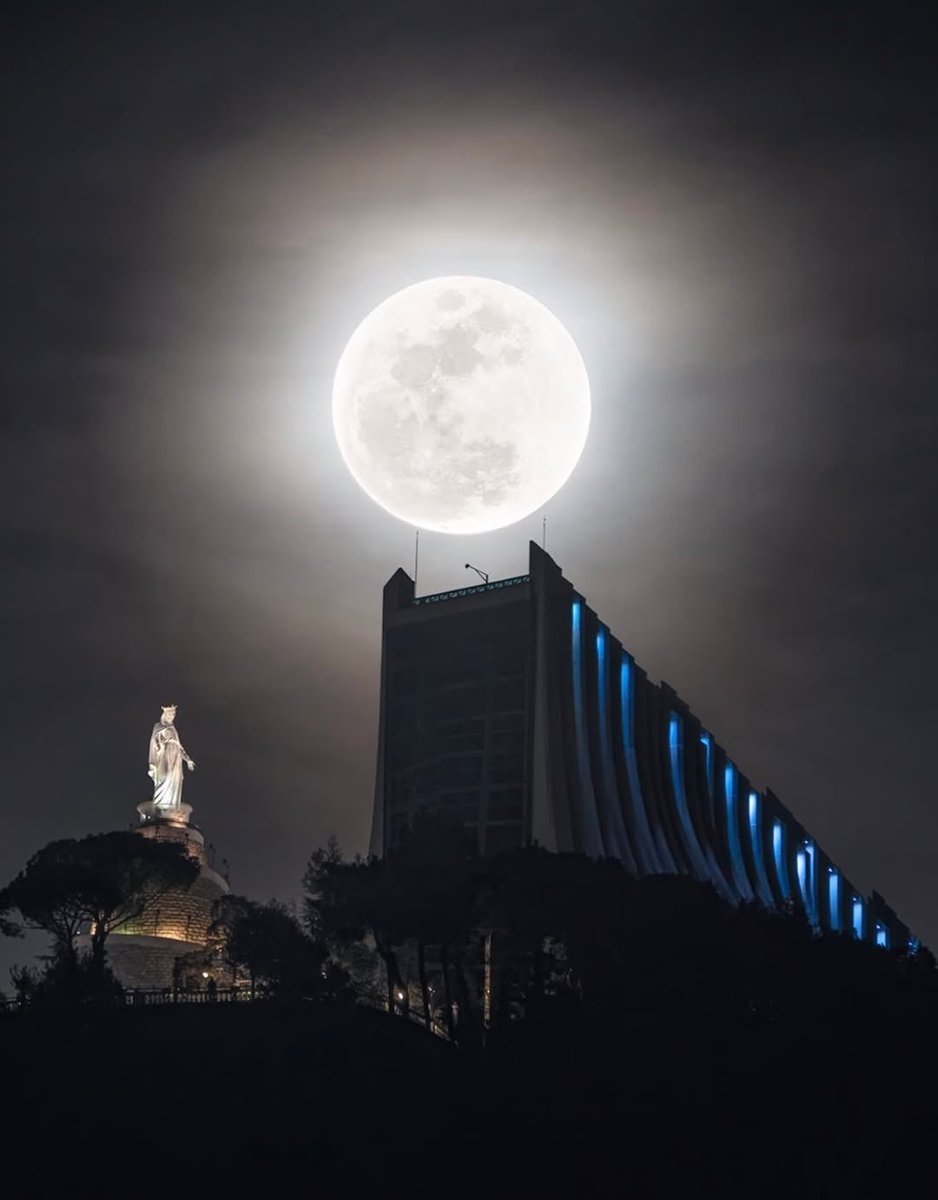 Joy 💞 tweet media