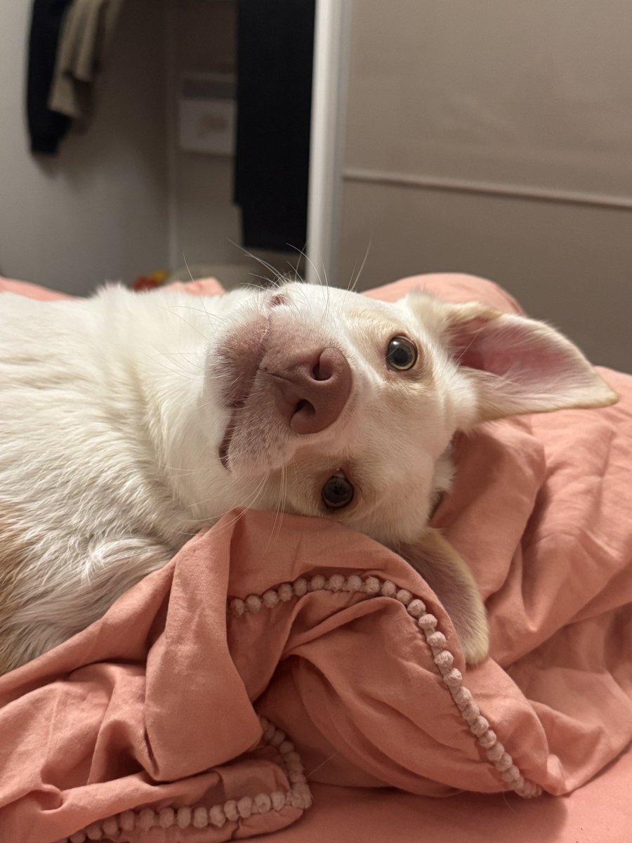 Богдан і його ЧСВ ✨ tweet media