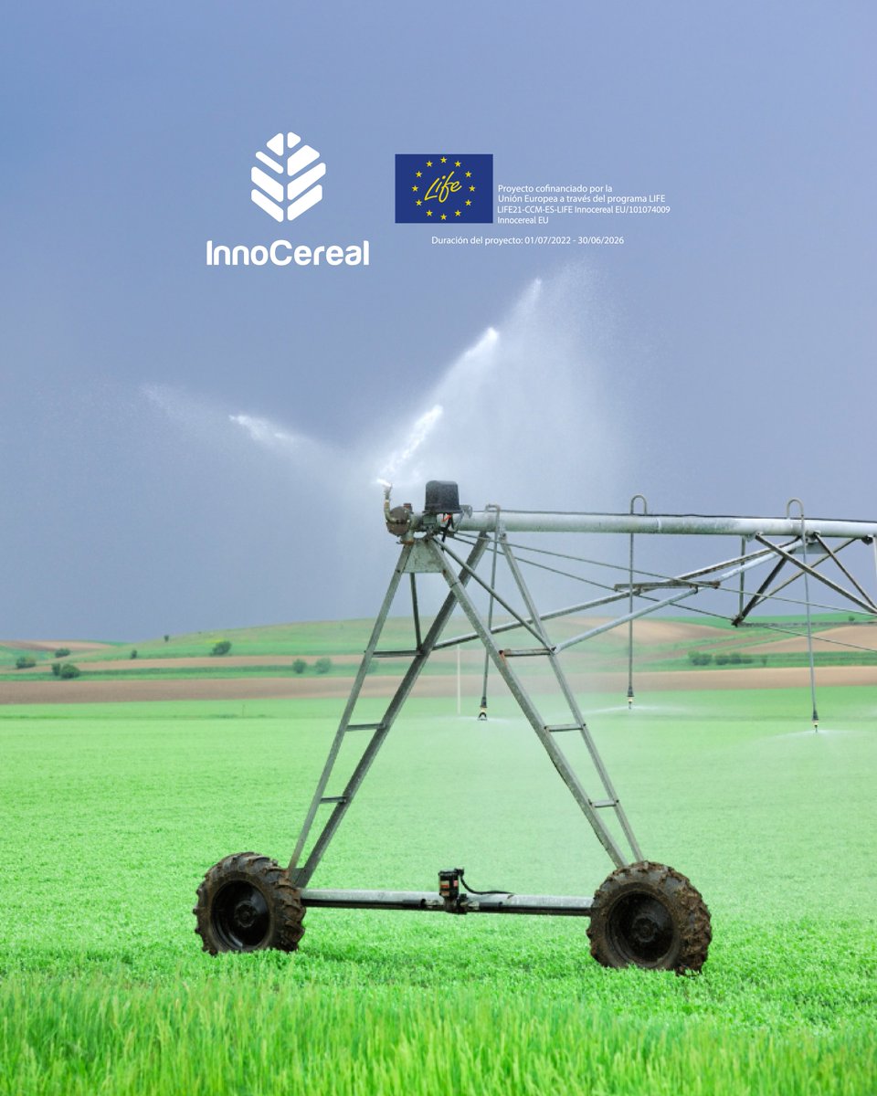 Life Innocereal EU tweet media