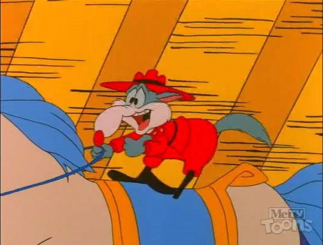 Cody | Wile E stan tweet media