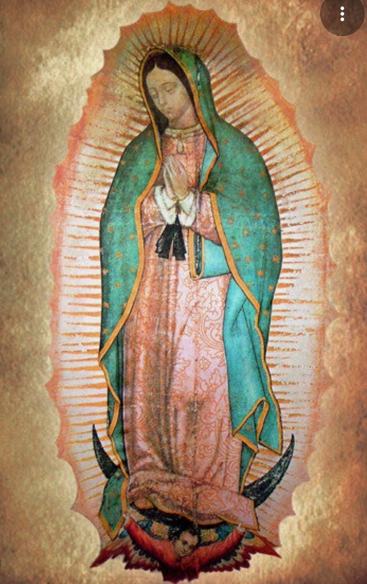 David Novack tweet media