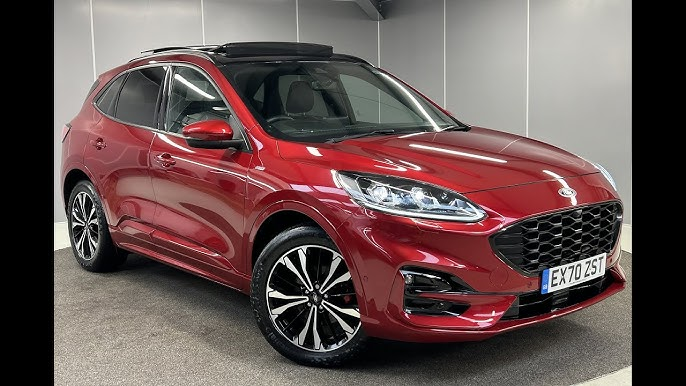 Peter. 🇳🇱🏛️ tweet media