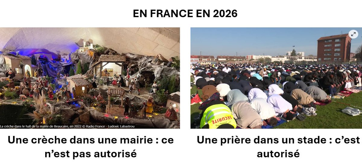 🇫🇷 fred le gaulois 🇫🇷 Uniondesdroites 🐱🐱 tweet media