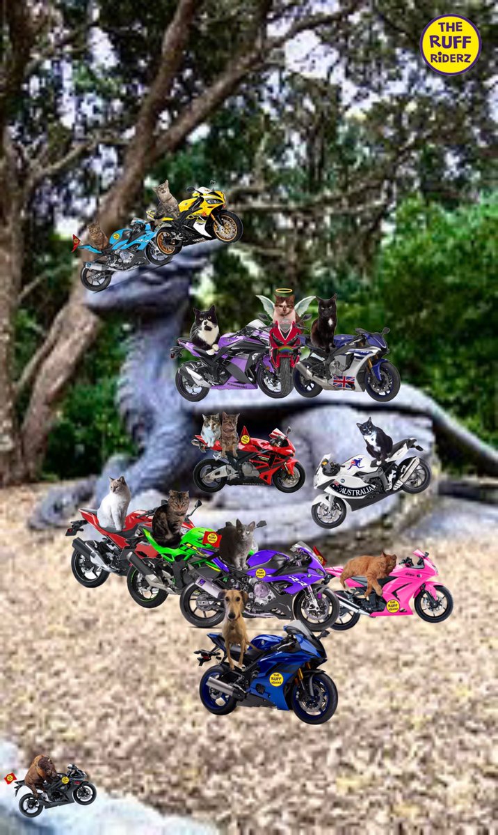 Colonel Pumpkin da Mookin, RIP all mine fwends 🌈. tweet media