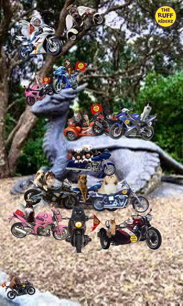 Colonel Pumpkin da Mookin, RIP all mine fwends 🌈. tweet media