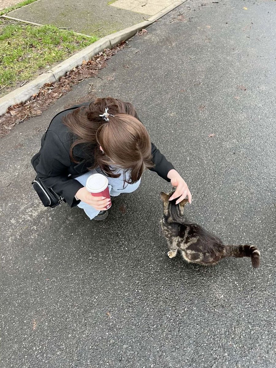 p˚୨୧⋆｡🐈˚ ⋆ tweet media