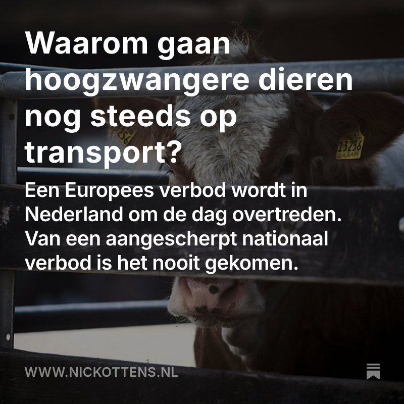 Nick Ottens tweet media