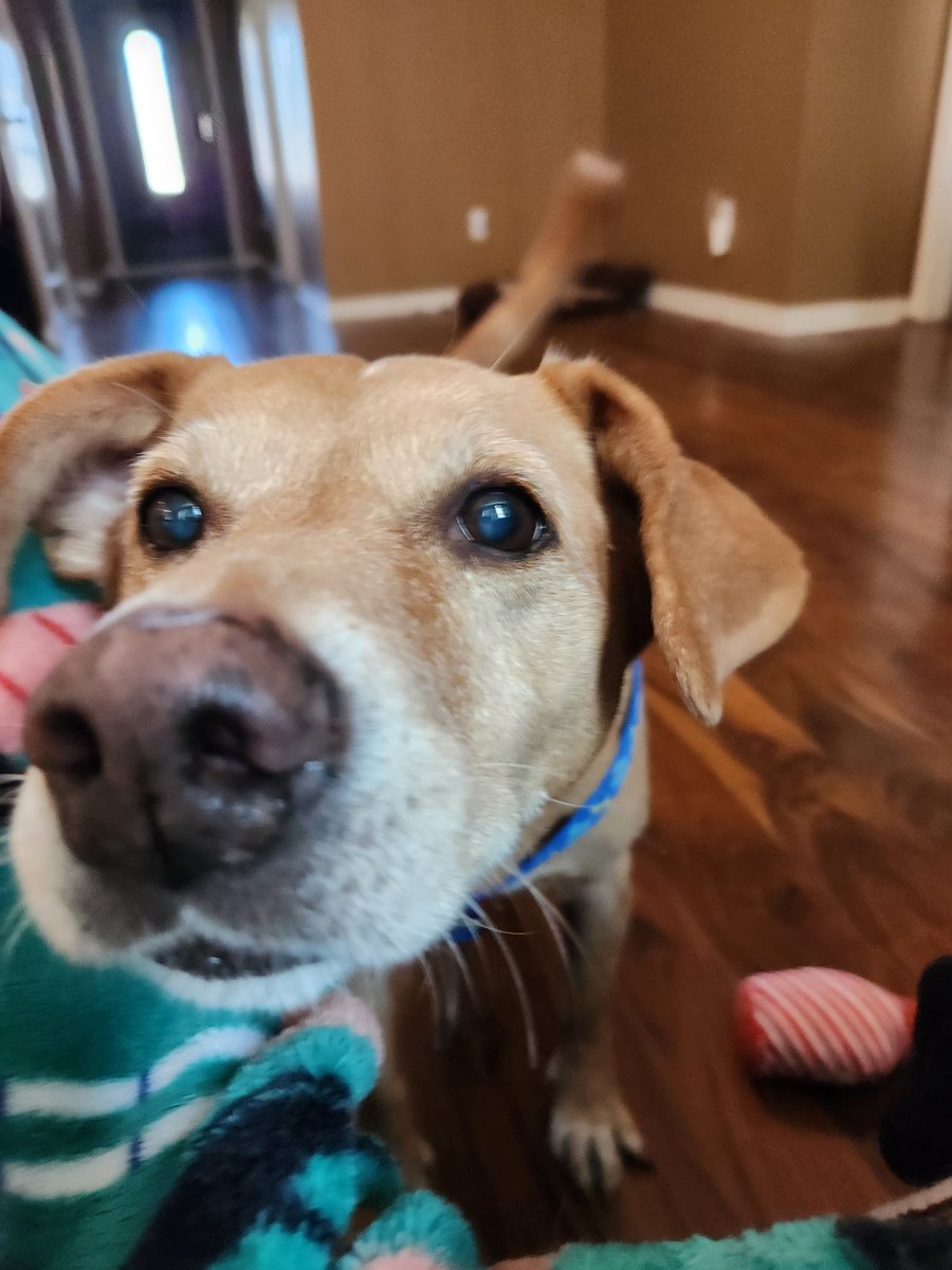 Dave Hines 💙🎗 tweet media